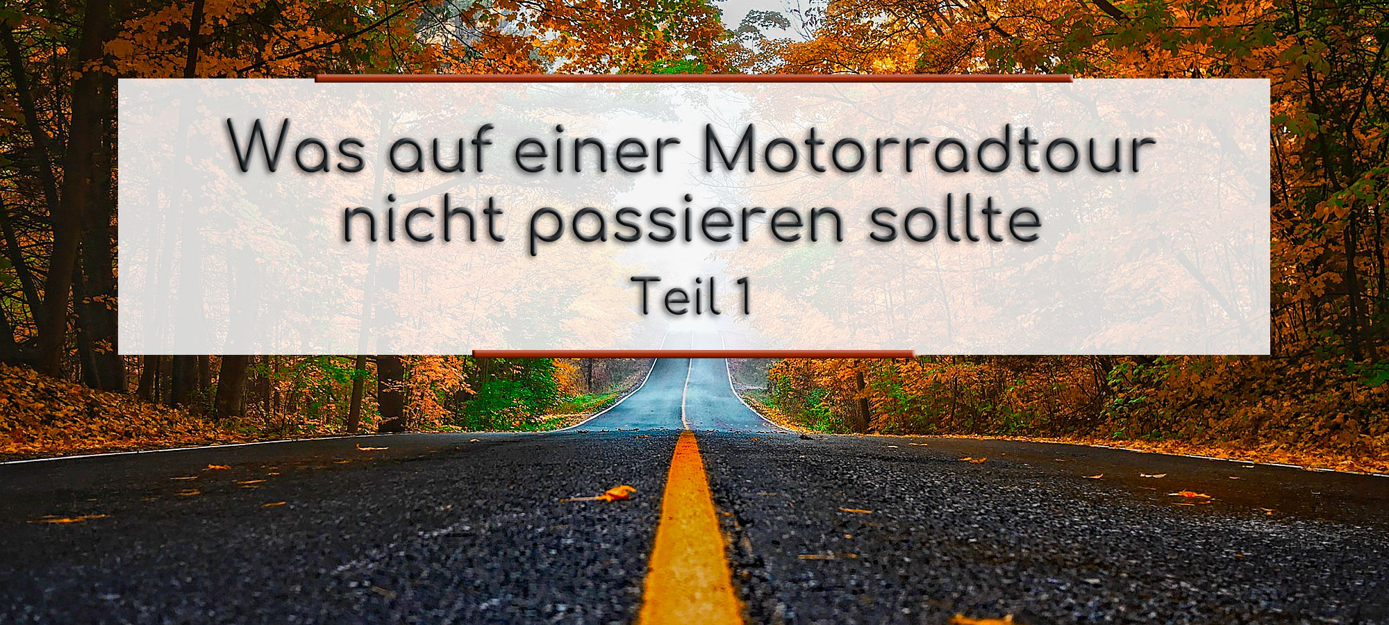 Eine schwarze Strasse, mit gelber Mittellinie geht geradeaus durch den Herbstwald. Im Textfeld steht geschrieben: Was auf einer Motorradtour nicht passieren sollte Teil 1