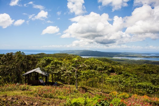 Camotes-Alta-Vista-Quarry-05