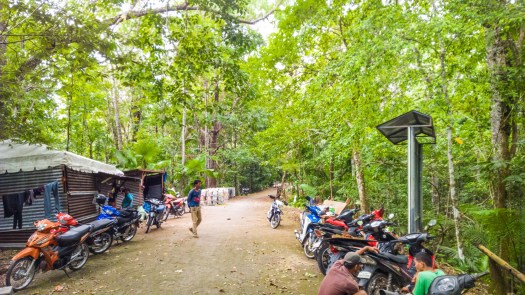 Siquijor-Bandilaan-Forest-Ecosystem-02