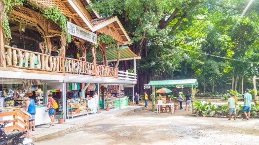 Siquijor-Century-Old-Balete-Tree-01
