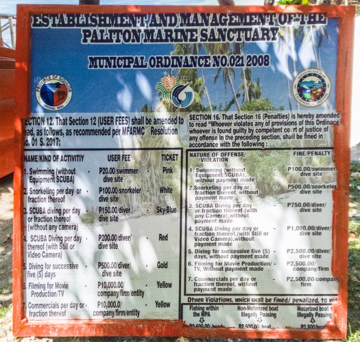 Siquijor-Paliton-Marine-Sanctuary-05