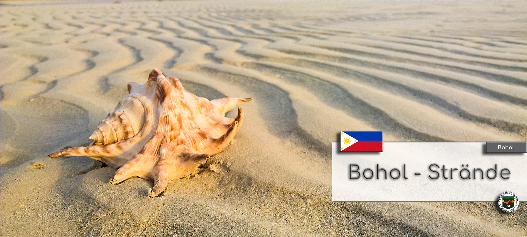 Sandstrand auf der Insel Bohol. Vorne links ist eine schoene Muschel.